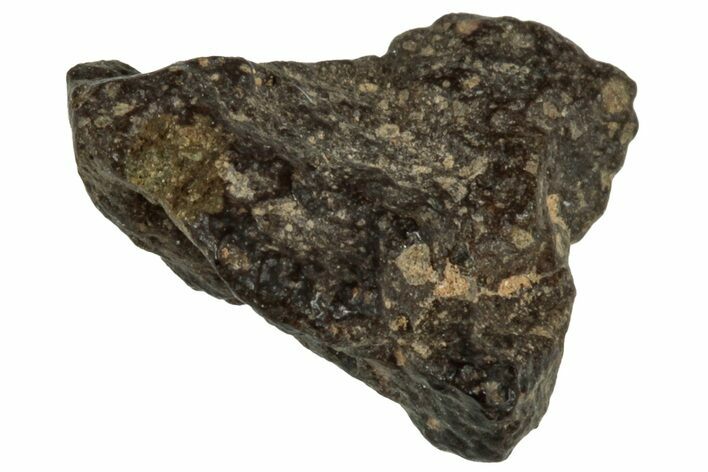 Abadla CM Chondrite Meteorite ( g) - Algeria #313085